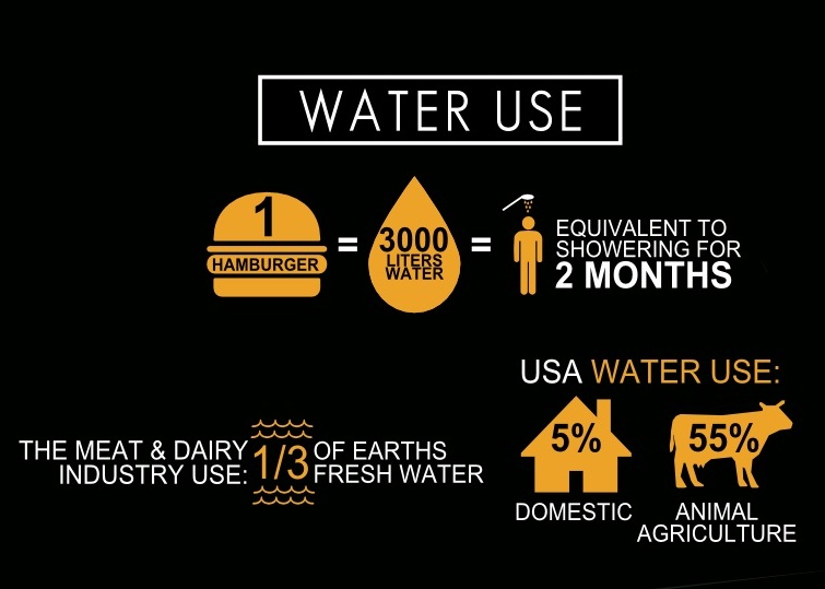 water use cowspiracy